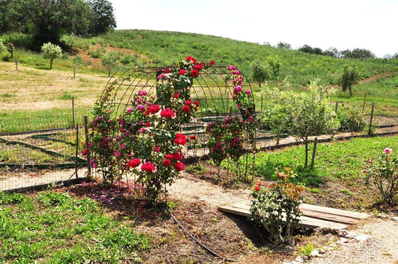 Montecristo Country House มันชาโน ภายนอก รูปภาพ